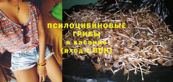apvp Новокубанск