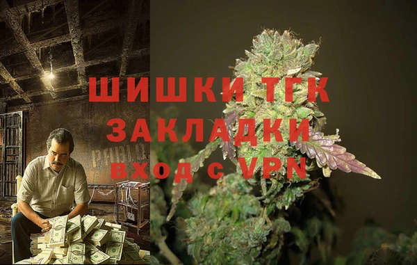 дурь Няндома