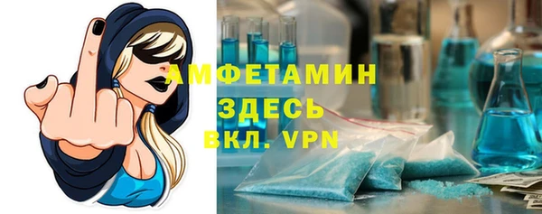 дурь Няндома