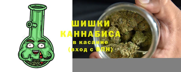 дурь Няндома