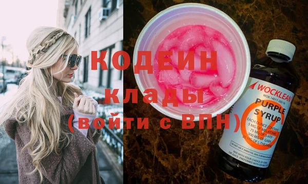 дурь Няндома