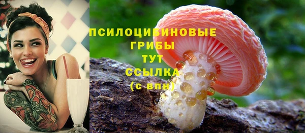 экстази Новозыбков
