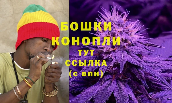 дурь Няндома