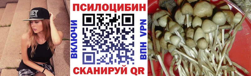 Псилоцибиновые грибы прущие грибы  OMG ссылка  Приволжск  закладка 