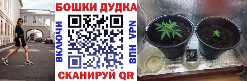 Конопля THC 21%  Приволжск 